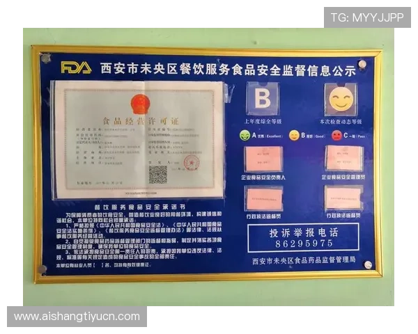 友博体育登录入口安全保障措施解析，保障用户个人信息与资金安全的全面措施介绍