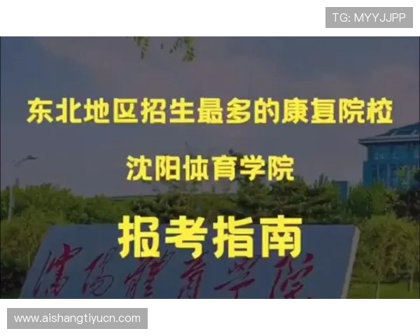 v体育网址官方最新入口指南，详细介绍如何安全访问和使用平台的全部功能